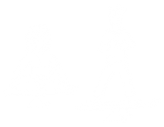 Vita Viva Gesundheitspraxis